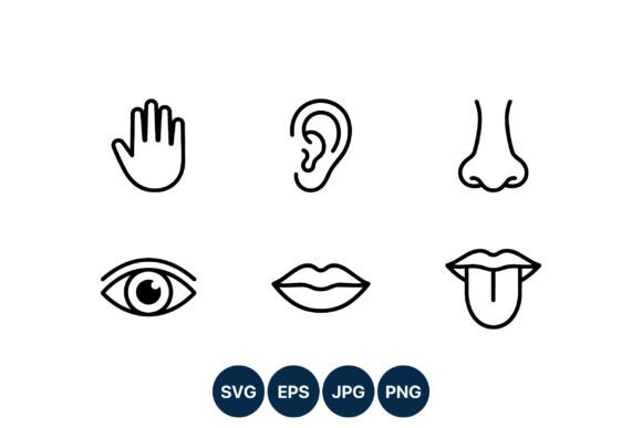Download Five Senses Black Line Icons - Black line Collection